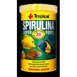 tropical SUPER SPIRULINA FORTE 36% 250ml - [50g]